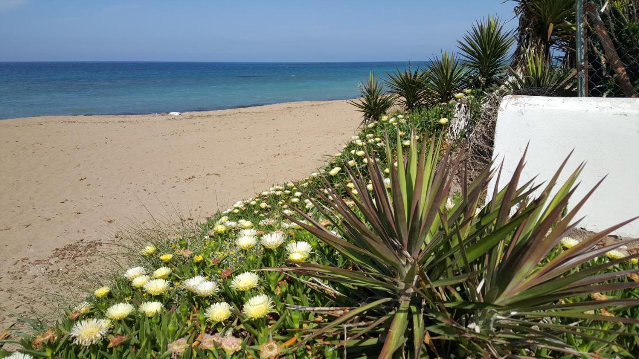Apartament Camino Del Vasco Denia Zewnętrze zdjęcie
